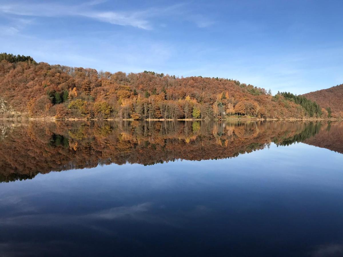 Villa Holgenbach - Penthouse- Und Ferienwohnung Im Nationalpark Eifel Schleiden Bagian luar foto