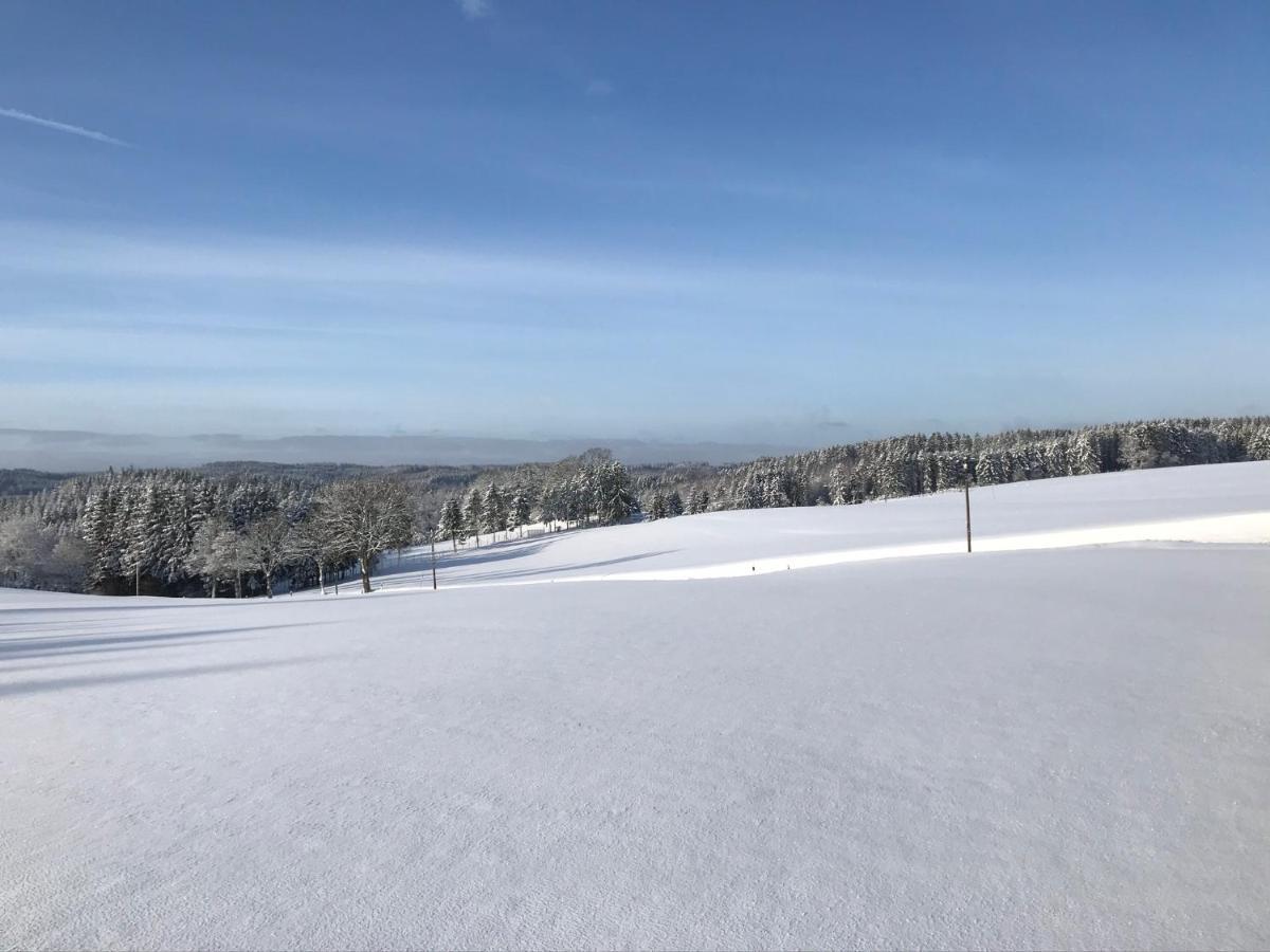 Villa Holgenbach - Penthouse- Und Ferienwohnung Im Nationalpark Eifel Schleiden Bagian luar foto