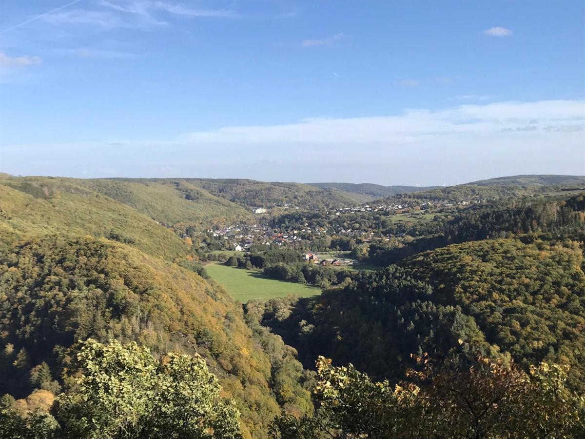 Villa Holgenbach - Penthouse- Und Ferienwohnung Im Nationalpark Eifel Schleiden Bagian luar foto