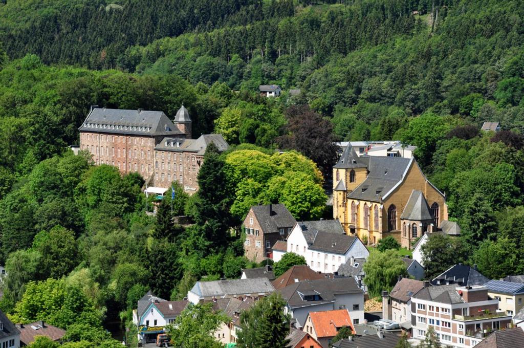 Villa Holgenbach - Penthouse- Und Ferienwohnung Im Nationalpark Eifel Schleiden Bagian luar foto