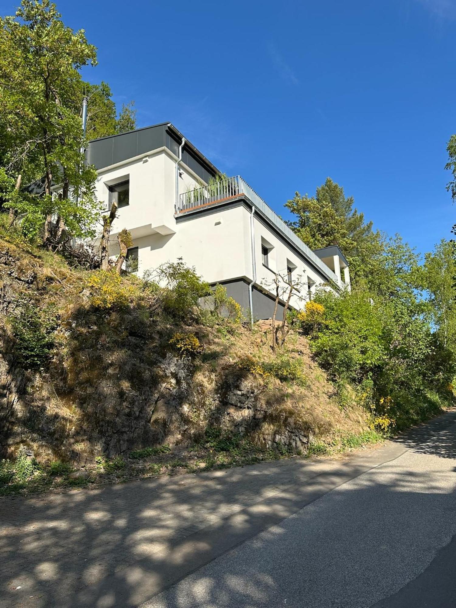 Villa Holgenbach - Penthouse- Und Ferienwohnung Im Nationalpark Eifel Schleiden Bagian luar foto