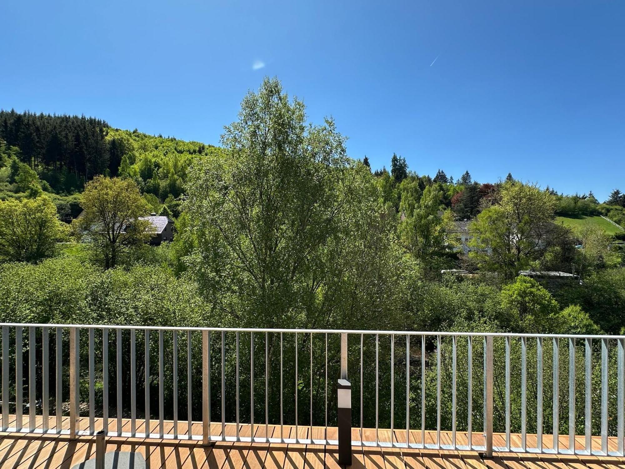 Villa Holgenbach - Penthouse- Und Ferienwohnung Im Nationalpark Eifel Schleiden Bagian luar foto